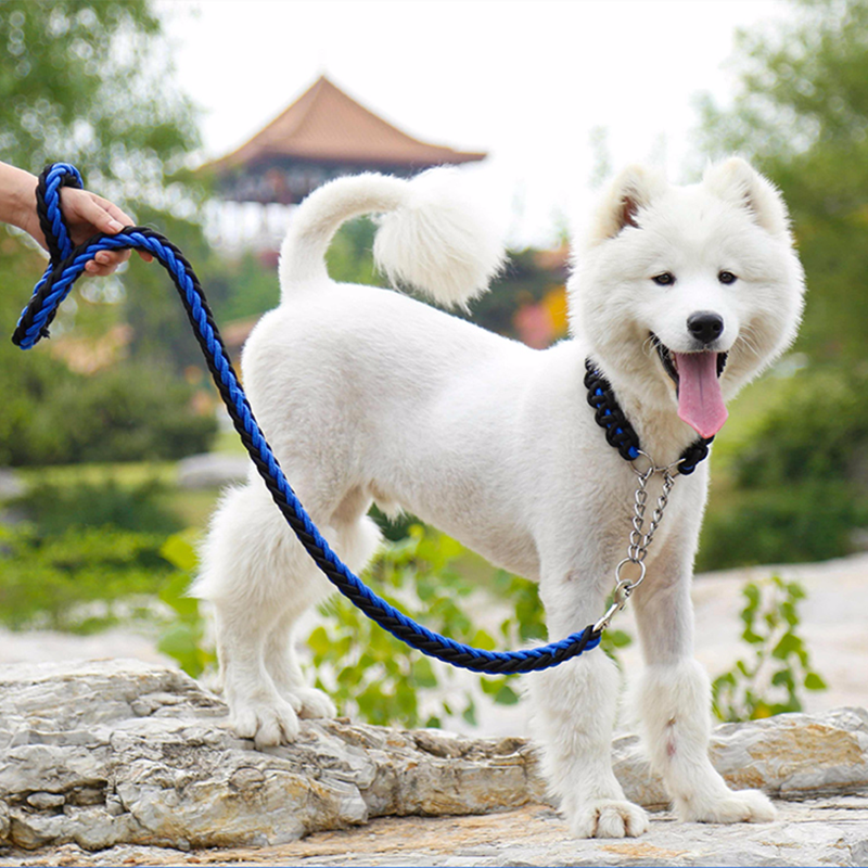 เคล็ดลับสำหรับการตัดแต่งเล็บของสุนัขของคุณ