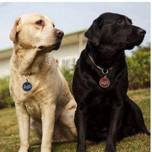 2018 ป้ายขายสุนัขหรือแมวที่ขายดีแท็กป้ายแกะสลักหรือ QR Code Pet Tag