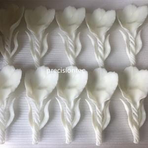 โซลูชั่นต้นแบบ