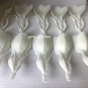 โซลูชั่นต้นแบบ