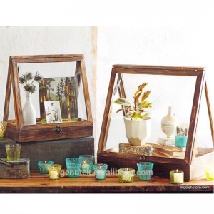 เคสแสดงแก้ว