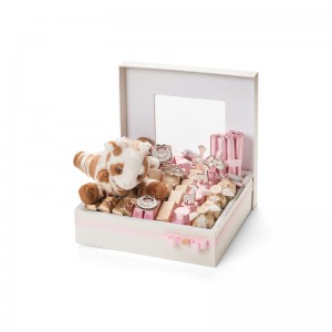 กล่องบรรจุ macaron ขายร้อนพร้อมฝาออกแบบกล่อง macaron