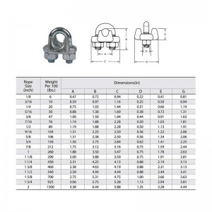 สหรัฐอเมริกาประเภท G-450 Drop Forged Wire Rope Clip Hot Dip Galv