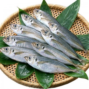 ปลาทูแช่แข็ง