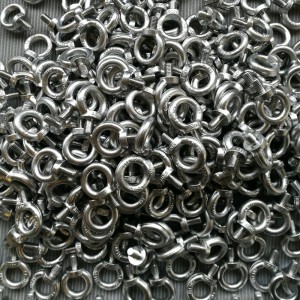 316 ฟอร์จ DIN580 สกรูตา