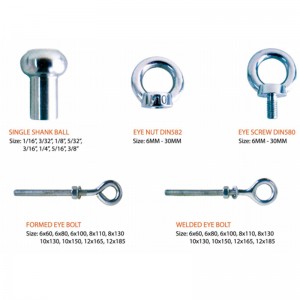 316 ฟอร์จ DIN580 สกรูตา