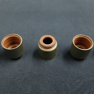 ประเทศจีนผู้ผลิตซีลก้านวาล์วน้ำมันสำหรับรถยนต์เรโนลต์