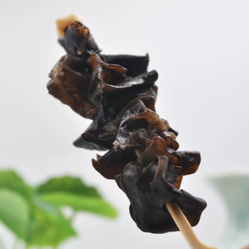 FROZEN BLACK FUNGUS