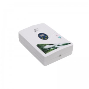 เครื่องบำบัดด้วยโอโซนสำหรับผักและผลไม้