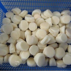 ทะเลแช่แข็งเนื้อหอยเชลล์