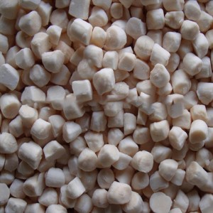 ทะเลแช่แข็งเนื้อหอยเชลล์