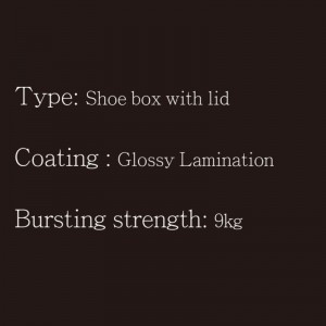 กล่องรองเท้าที่มีฝาปิด Type2