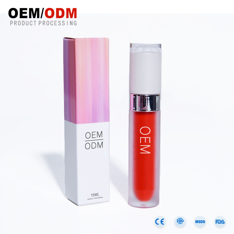 OEM ที่ดีที่สุดขายส่งเคลือบลิปกลอ, ฉลากส่วนตัวยาวนานลิปกลอกันน้ำ