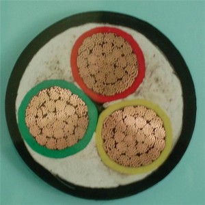 0.6 / 1kv 3 X 6mm2 LV สายไฟ Pvc ฉนวน Cu ของแข็ง / ตัวนำตีเกลียว