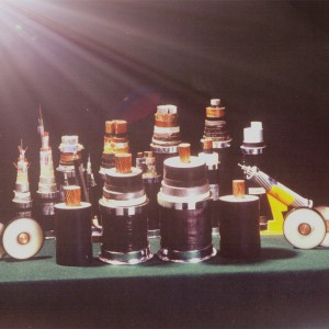 สายเคเบิลหุ้มฉนวนแรงดันสูงทุกขนาด 110KV สำหรับระบบส่งกำลังไฟฟ้าโดย GB 11017, IEC60840