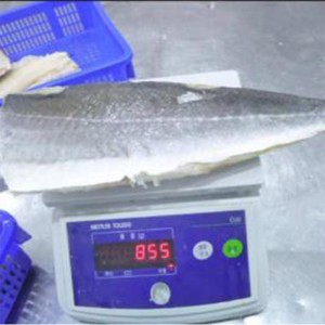 เนื้อปลาแช่แข็งแบบแช่แข็งแบบเค็มของแอตแลนติก