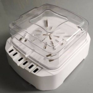 แม่พิมพ์ต้นแบบ