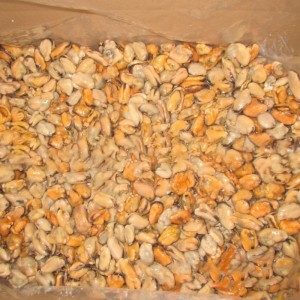 หอยแมลงภู่ต้มแช่แข็ง