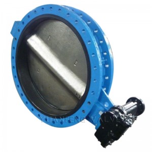 หน้าแปลนวาล์วผีเสื้อ