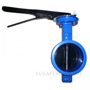 วาล์วผีเสื้อปลายร่อง