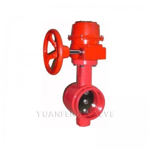 วาล์วผีเสื้อปลายร่อง