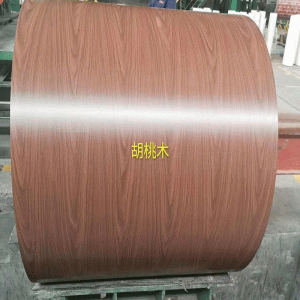 แผ่นเหล็กทาสี