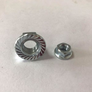 น็อตหน้าแปลน