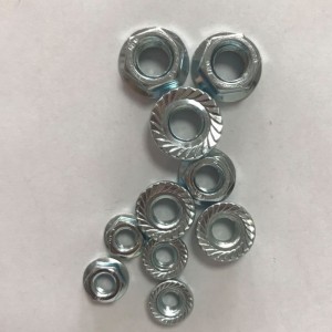 น็อตหน้าแปลน