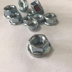 น็อตหน้าแปลน