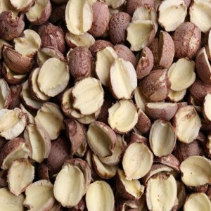 เครื่องปอกเมล็ดบัวแบบแกนเปิด