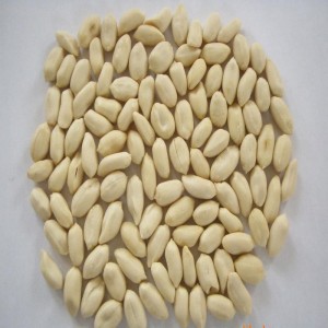 เครื่องปอกเปลือกถั่วลิสงแห้ง