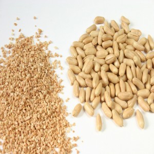 Peanut Chopper / Peanut Dry De Chopper