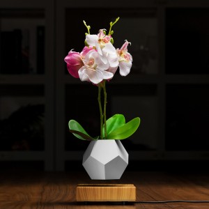 แม่เหล็กลอยลอยอากาศปลูกต้นไม้กระถางบอนไซ PA-0708