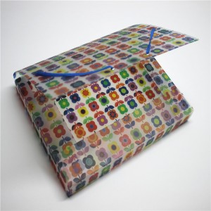 แฟ้มโฟลเดอร์แฟ้มพลาสติก PP มีความยืดหยุ่น