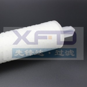 จีบไส้กรอง --- RFG