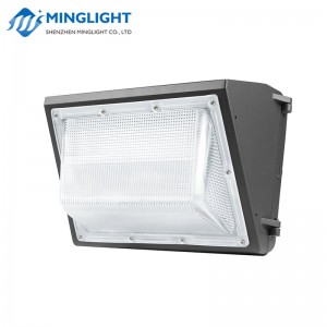 ชุดไฟ LED กำแพง WPB 100W