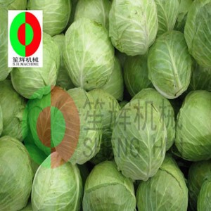 เครื่องกะหล่ำปลีแกน TX-1000