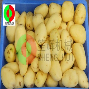 ชนิดใหม่ QX-608 เครื่องปอกเปลือกผลไม้ / ผลไม้ทำความสะอาดและเครื่องปอกเปลือก / ผลไม้แปรงทำความสะอาดและเครื่องปอกเปลือก