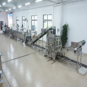 กระเทียมขนาดใหญ่ที่ฆ่าสายการผลิต