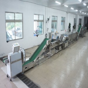 กระเทียมขนาดใหญ่ที่ฆ่าสายการผลิต