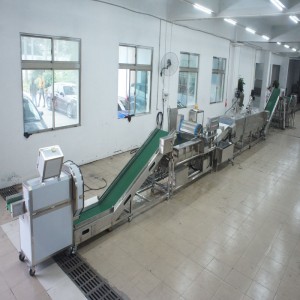 กระเทียมขนาดใหญ่ที่ฆ่าสายการผลิต