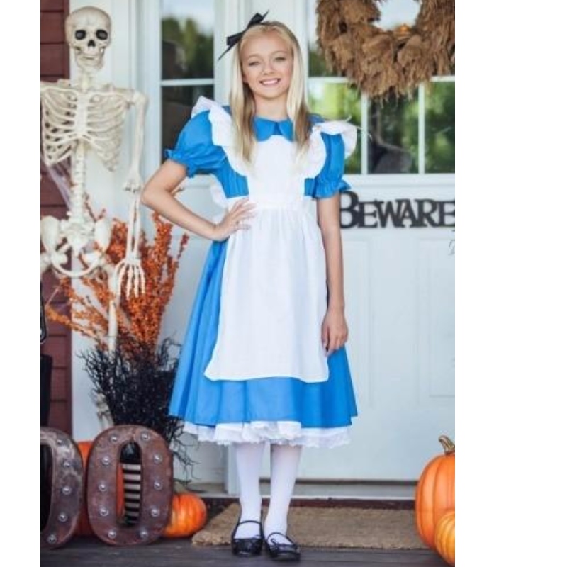 Holiday / Carnival Teenage Girl Halloween Costume เด็กดีลักซ์อลิซเดรส