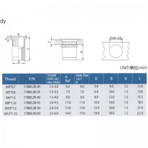 Countersunk Head Knurled Body