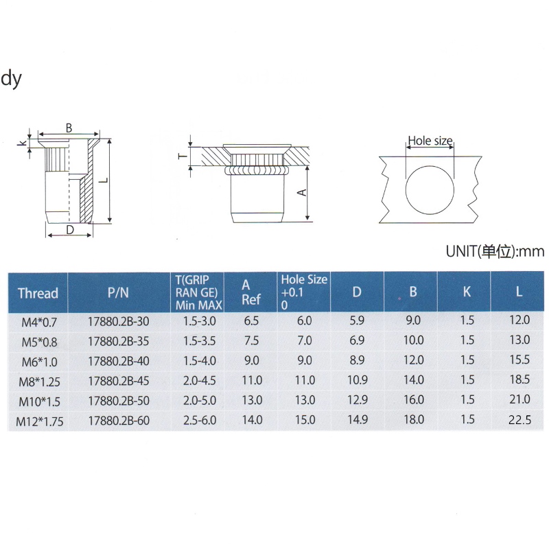 Countersunk Head Knurled Body