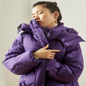 แจ็คเก็ตลง