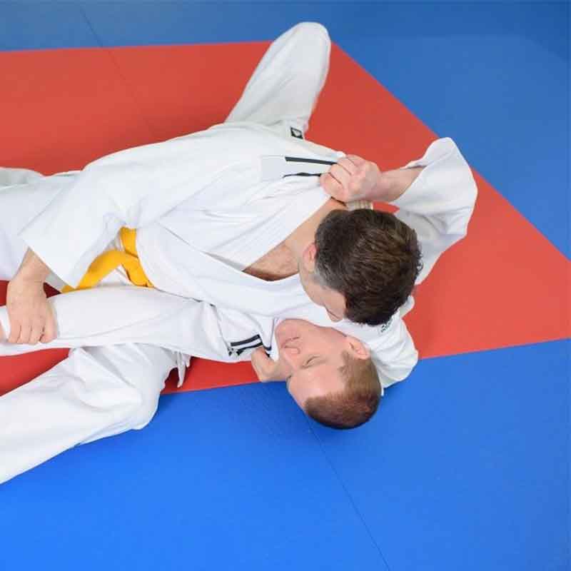 Professional Wrestling Officialatedated Cushioning Carpet (ACF)