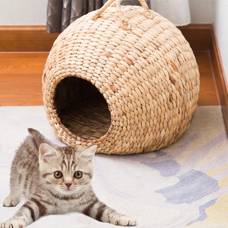 สัตว์เลี้ยงรัง \/ เตียง