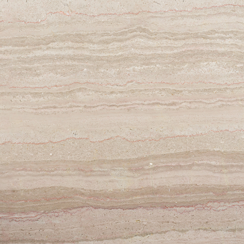 งูยักษ์