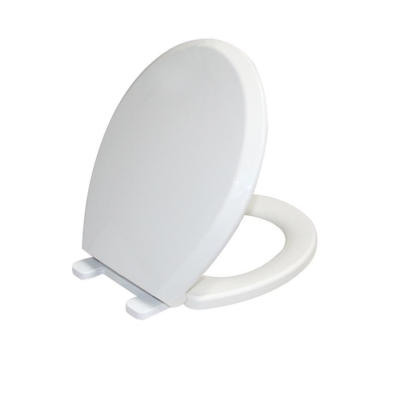 ที่นั่งห้องน้ำ