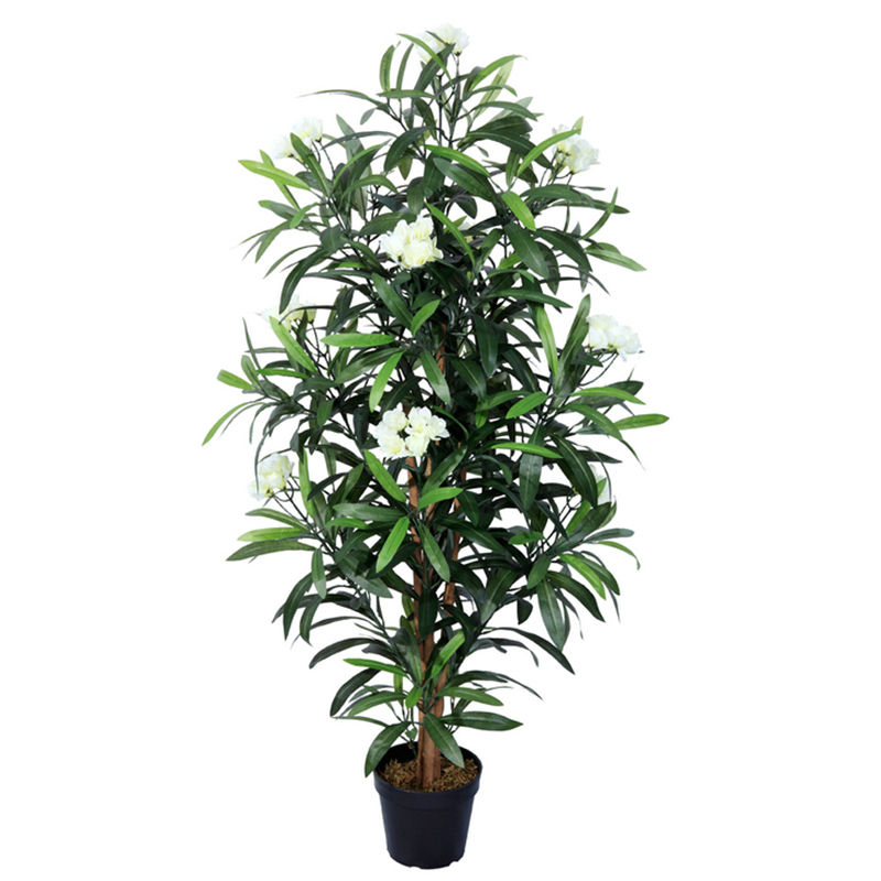 oh028220011 ไม่